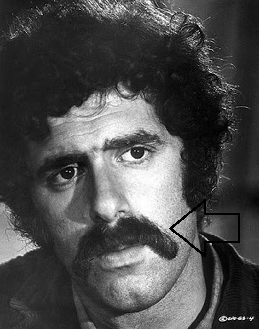 529full-elliott-gould
