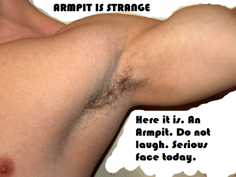 800px-Armpit_by_David_Shankbone
